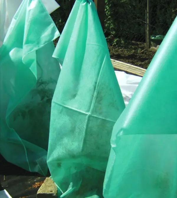 1022_tom_haube_klein