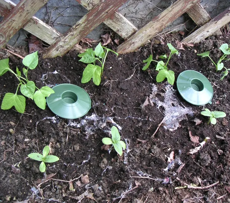 2038_-_2_falle59da24dc91ddd