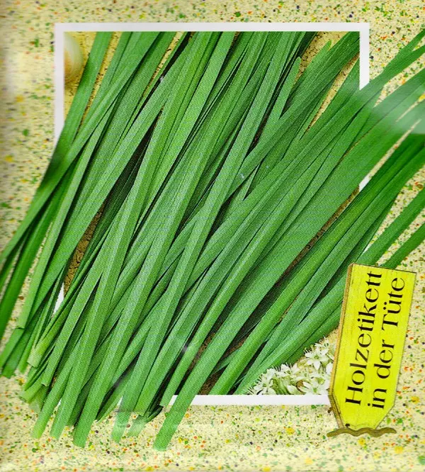 2071_schnitt_knoblauch