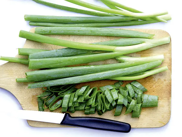 6188winterhecke3340nb