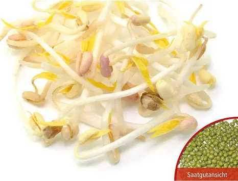 B025BioKeimsprossenMungbohnen