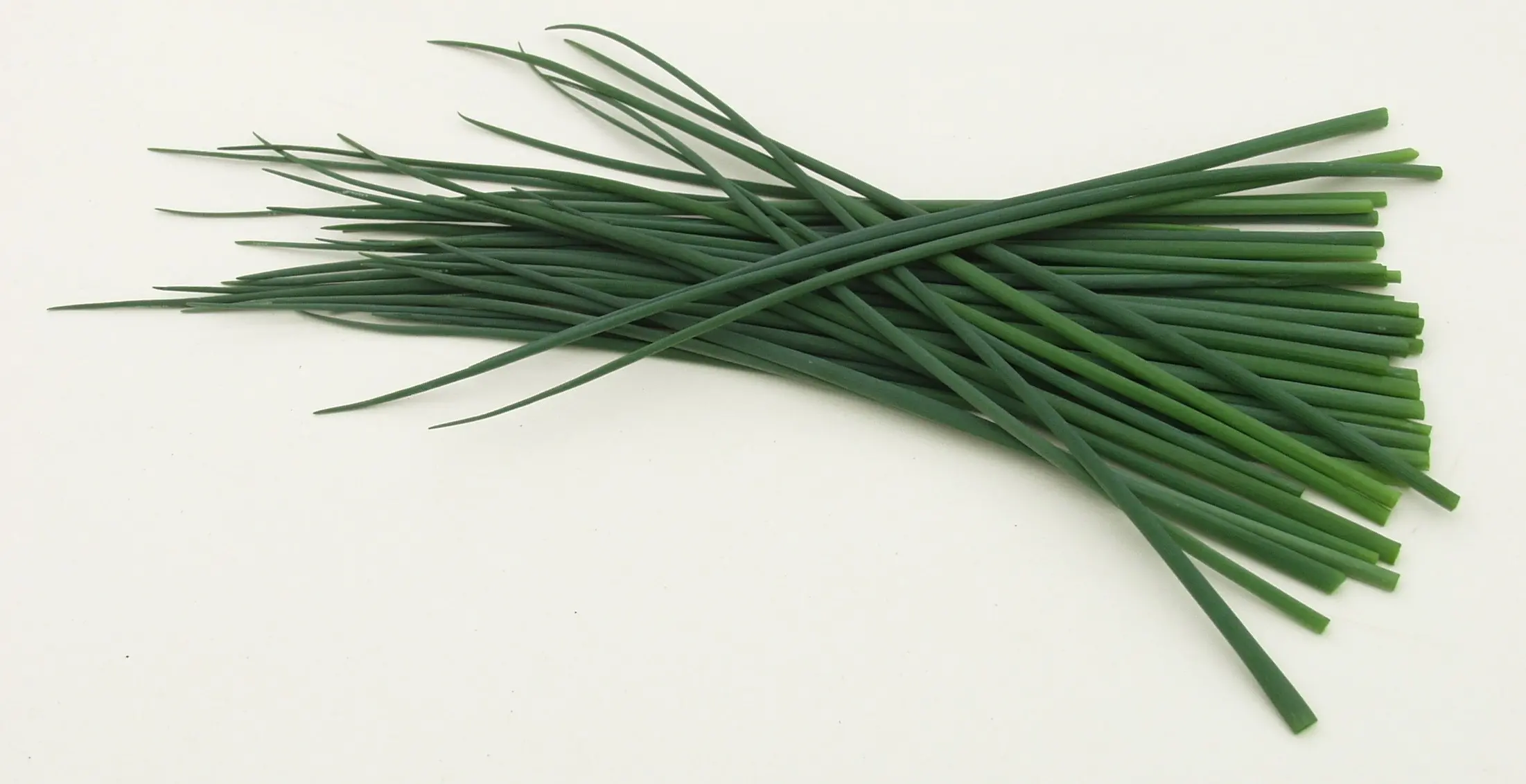 B064SchnittlauchPolyvertBio