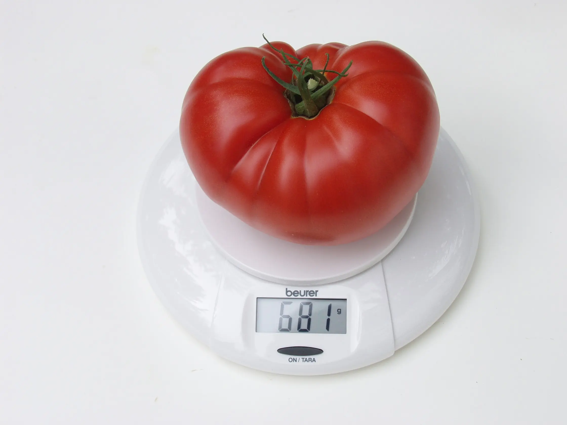 B070TomateContryTasteF1Bio