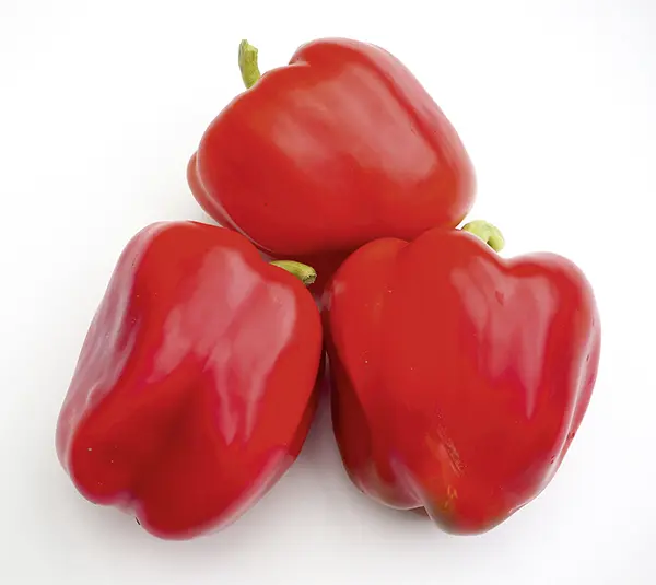 Bendigo1-P8130725-NB