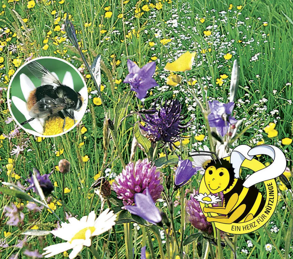 Bienefutterpfl-mehrj