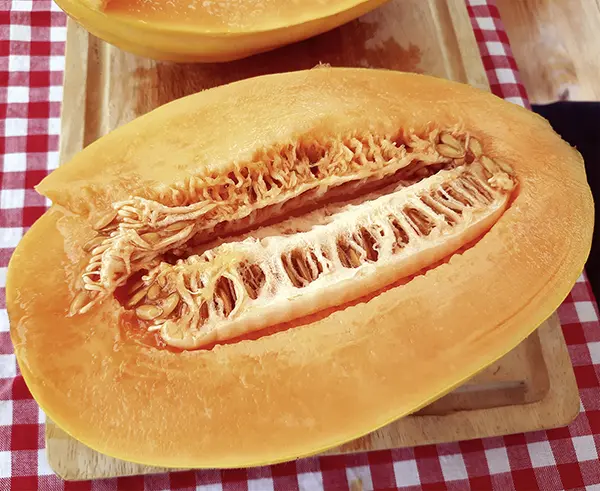 Mango-Melone-RGB-173859NB