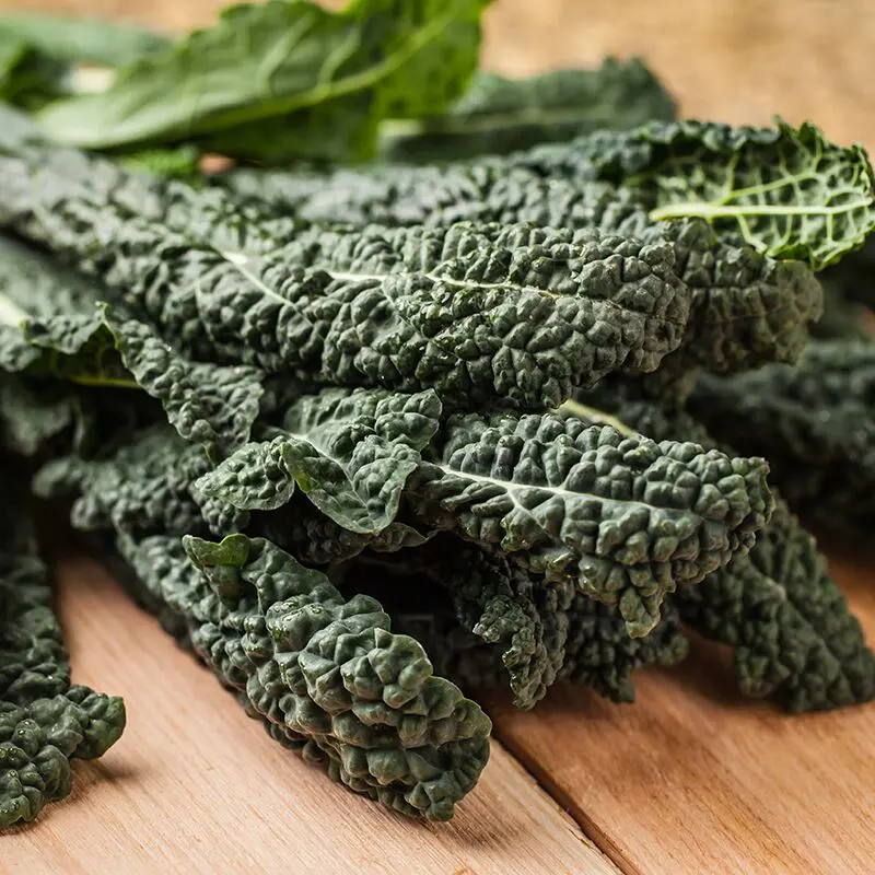 PalmkoolNerodiToscanaBrassicaoleracea