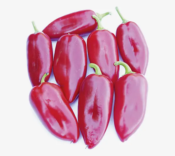 Paprika-Kostas-05607-Nb2