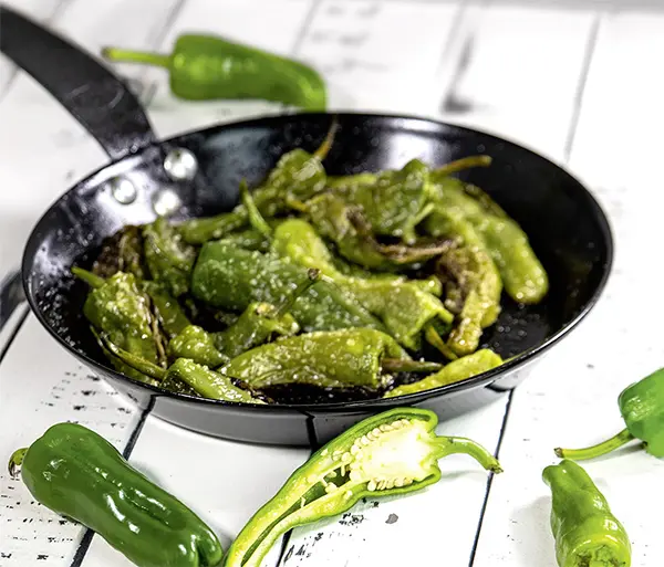 Paprika-Padron-KP-RGB