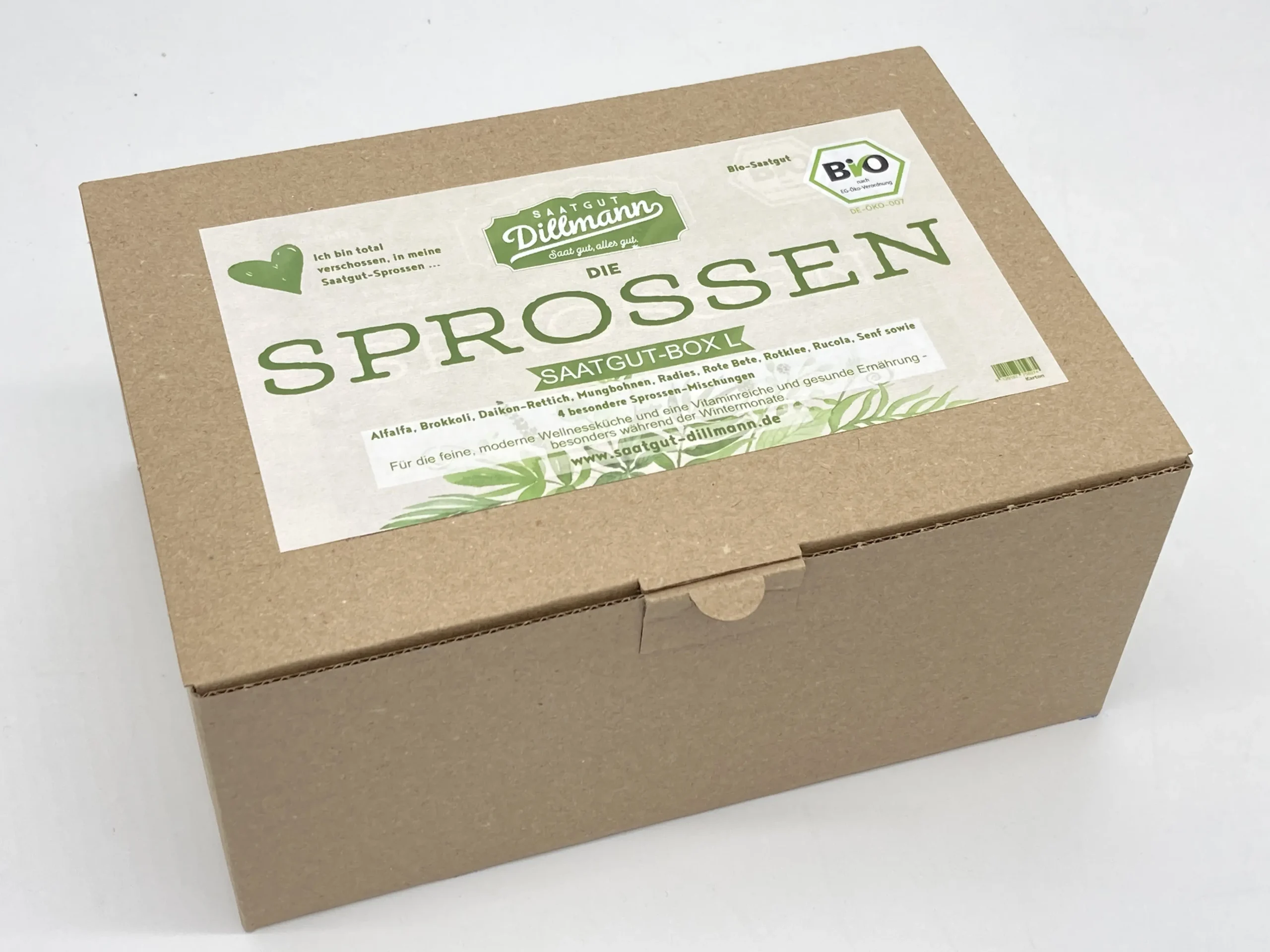 SprossenboxL-1.webp