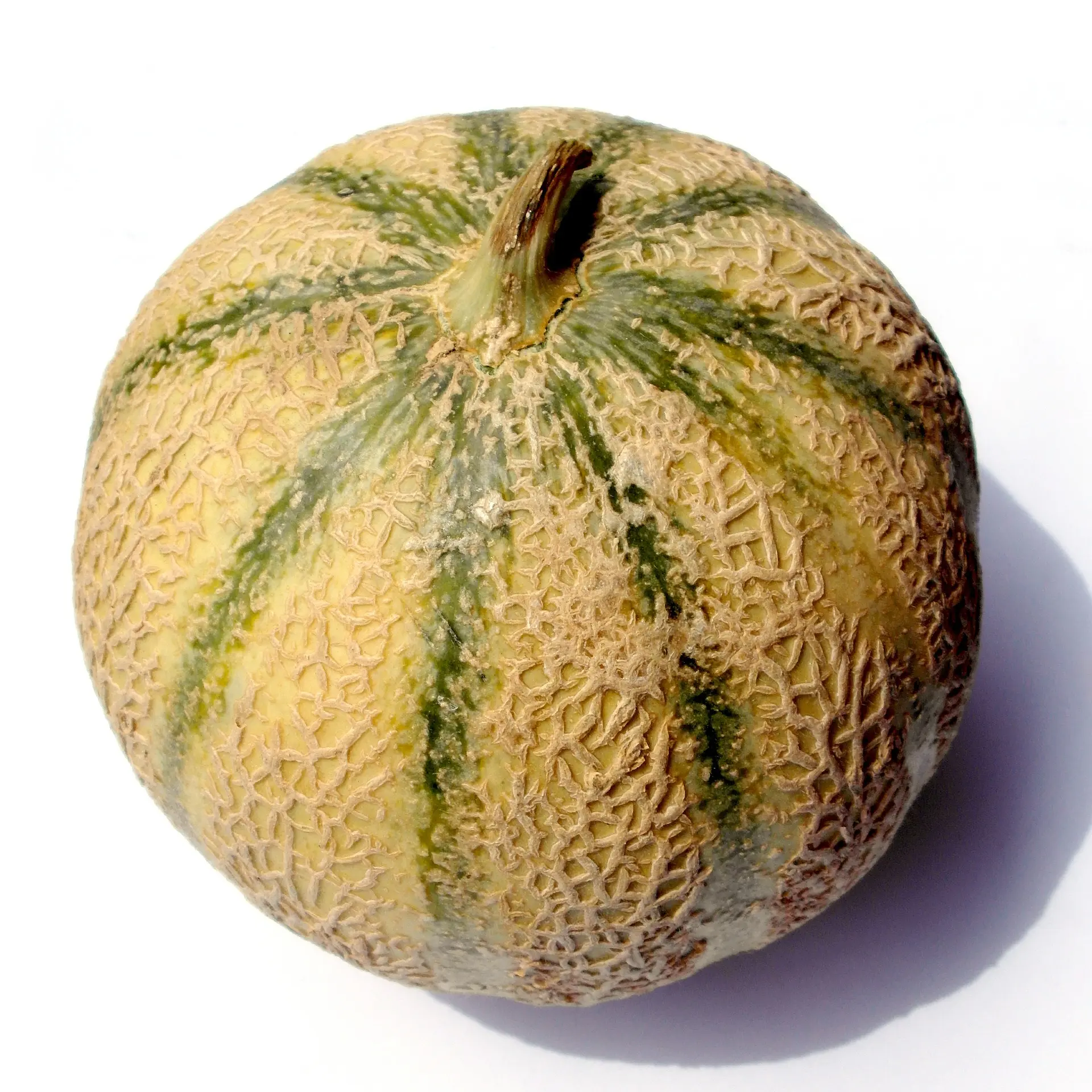 Zuckermelone_charentais-melon-388659_1920