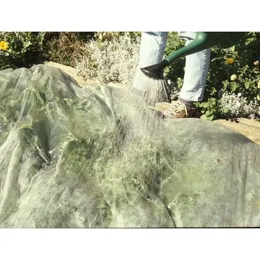 gie_en_ber_vlies_600