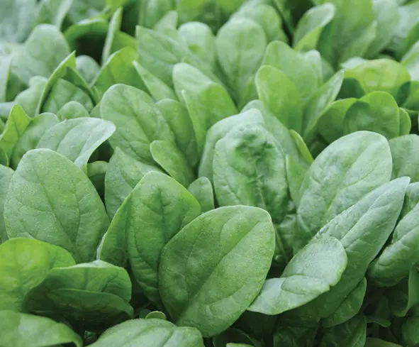 rgb5148andromeda08400