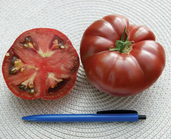 rgb5233noircrimee08235